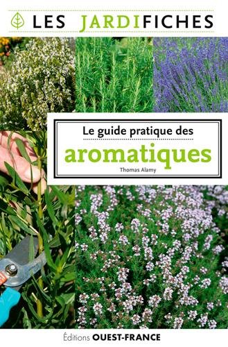 Le guide pratique des aromatiques