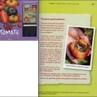 Tomate