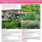 Catalogue Delbard
