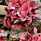 Landscape Magazine