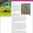 Un potager sur mesure