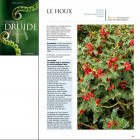 L'herbier secret du druide