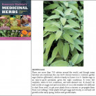 Rosemary Gladstar's Medicinal Herbs