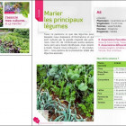 J'associe mes cultures (Terre Vivante)