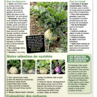 Le chasseur français