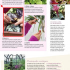 Mon jardin ma maison