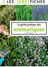 Le guide pratique des aromatiques