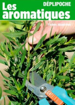 Les aromatiques